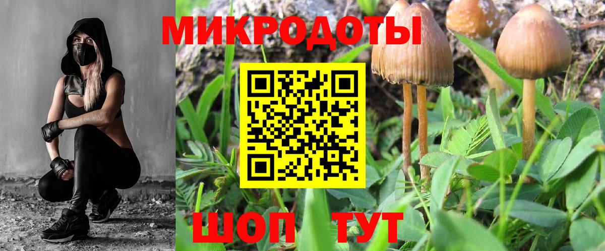 Галлюциногенные грибы прущие грибы Таганрог