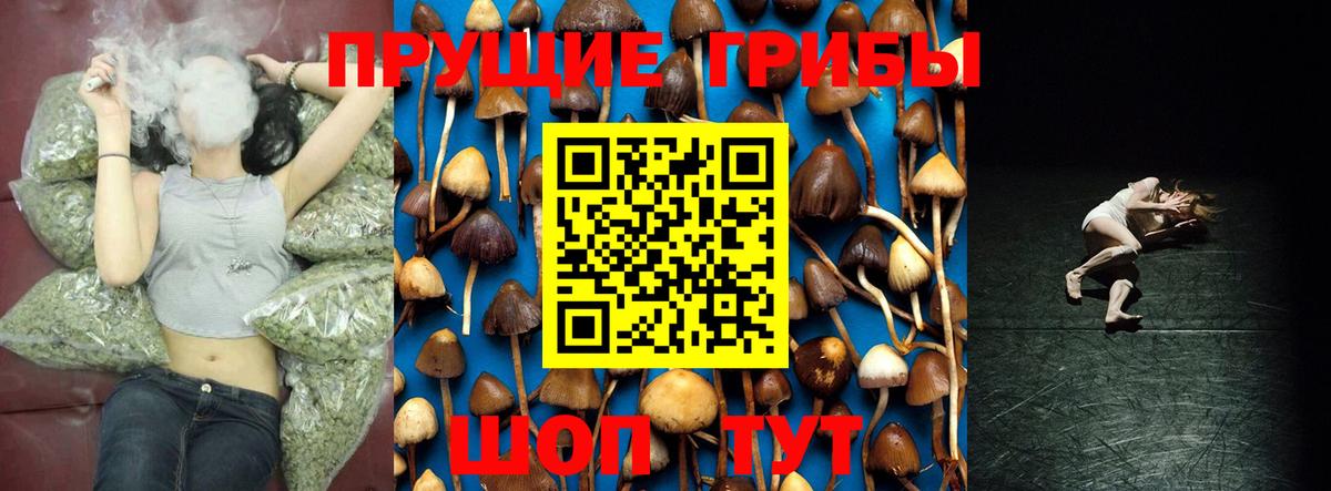 Псилоцибиновые грибы Psilocybine cubensis  магазин продажи   Галлюциногенные грибы GOLDEN TEACHER  Таганрог  Вход с VPN 